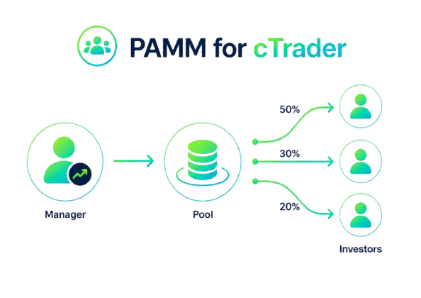 Pamm Kate PAMM untuk cTrader | Brokeree Solutions