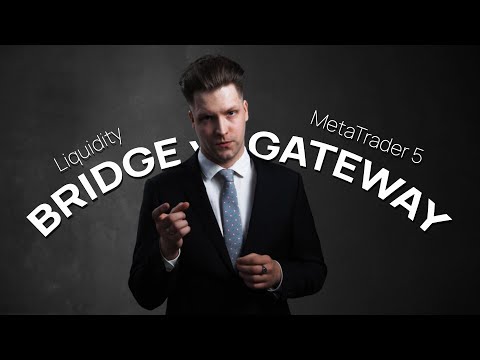 Liquidity Bridges vs MetaTrader 5 gateways